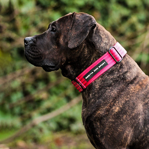 Bestia Dog Sport GripPro Print Collar - Pink