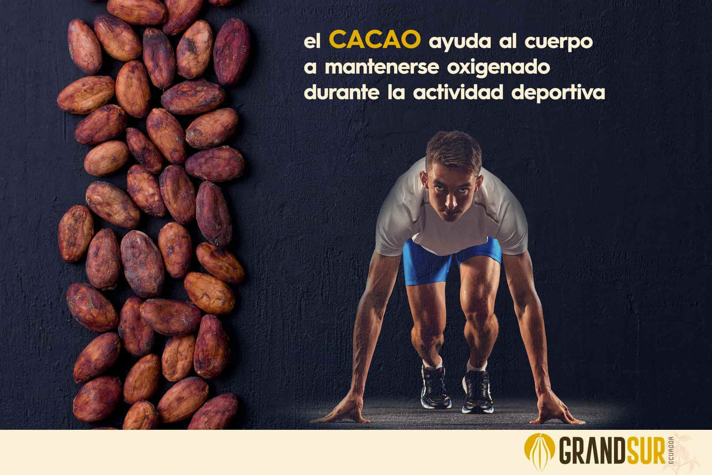 Premium Haitian Cocoa Butter Oil - 100% Organic | AURORE LUXURE