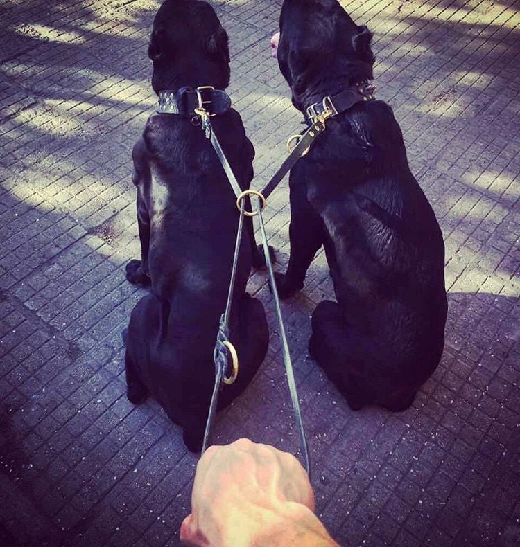 BESTIA DOG SPORT Multi Purpose Police Leash