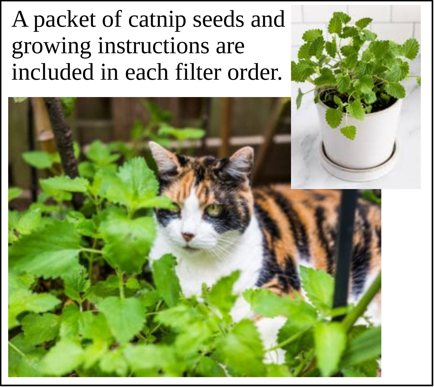 Air Purifier + Wall Mount / Table Top Bracket Bundle