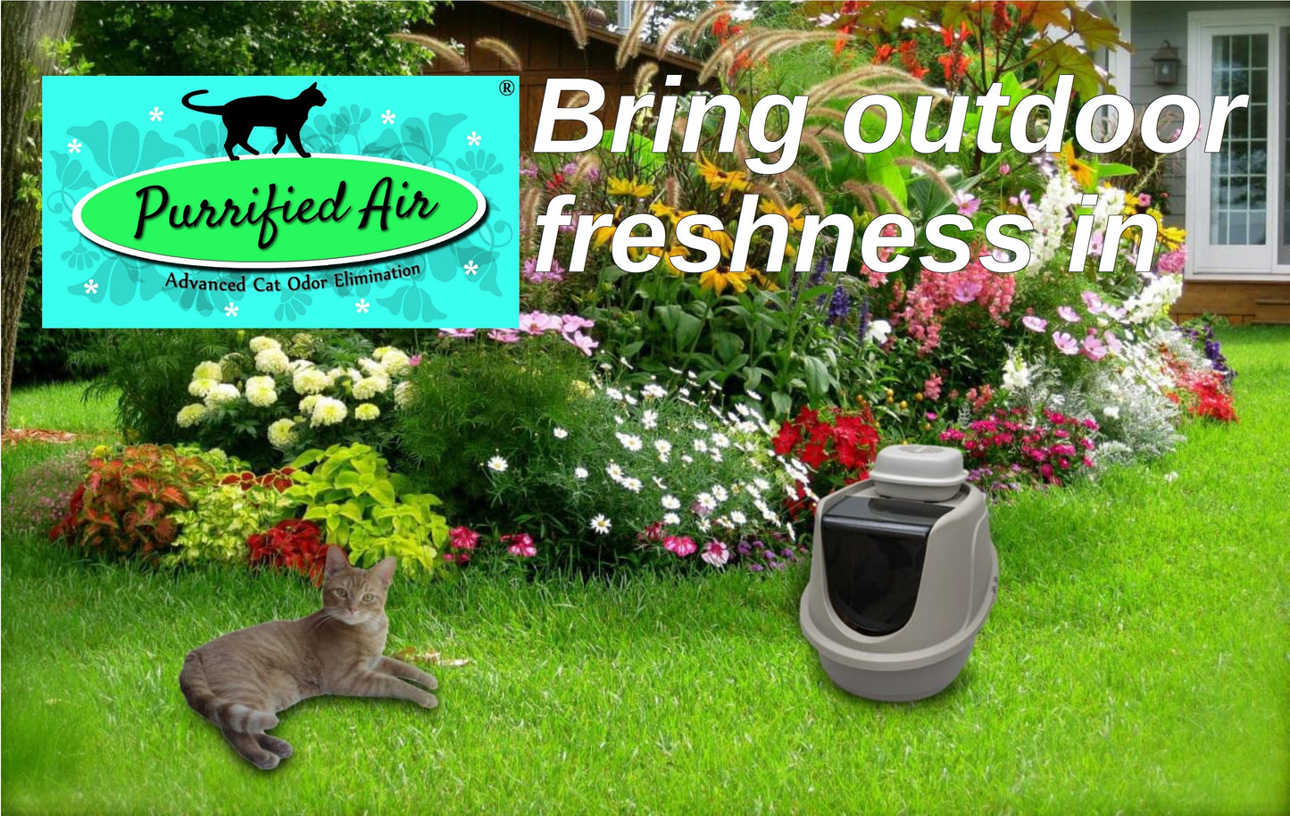 Air Purifier + Wall Mount / Table Top Bracket Bundle