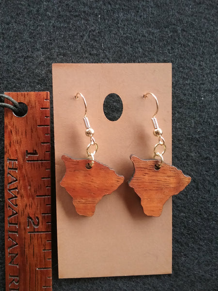 Hawaii Island Li'i Koa Wood Earrings - Hawaii Bookmark