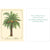 Island Style Holiday Greeting Cards Season's Aloha Palm